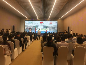 长安城金牌翻译 专业语言服务的卓越之选